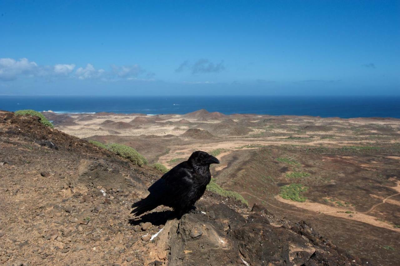 Los Lagos Roque Exteriér fotografie